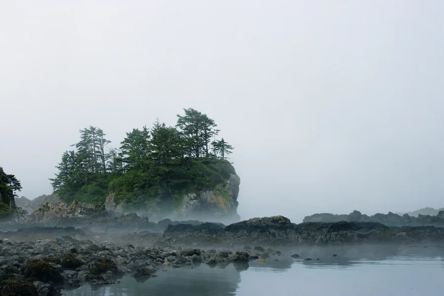 Misty tree-covered sea stack beyond a rocky tidal shoreline