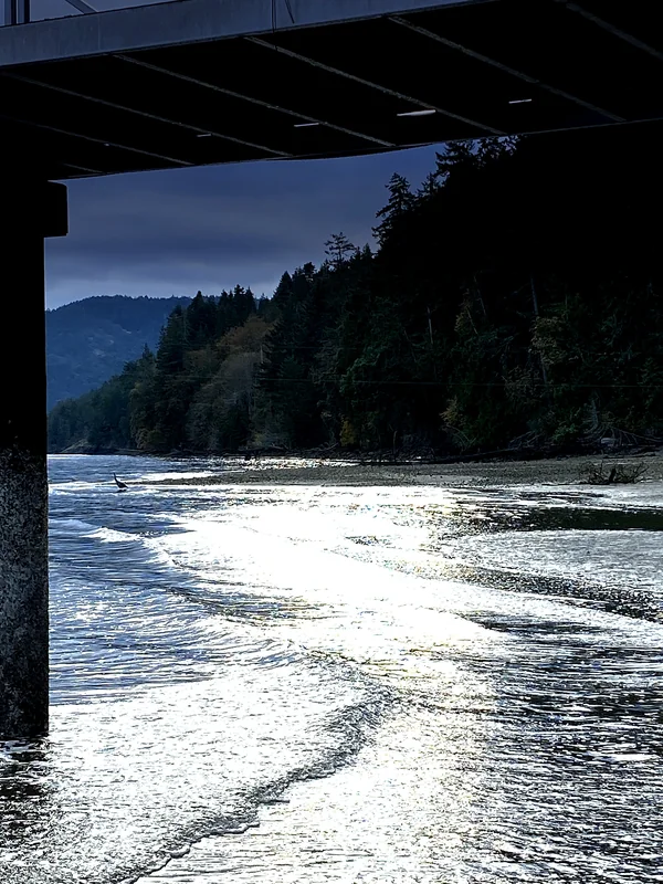 View from beneath a bridge, steel structure framing sparkling water