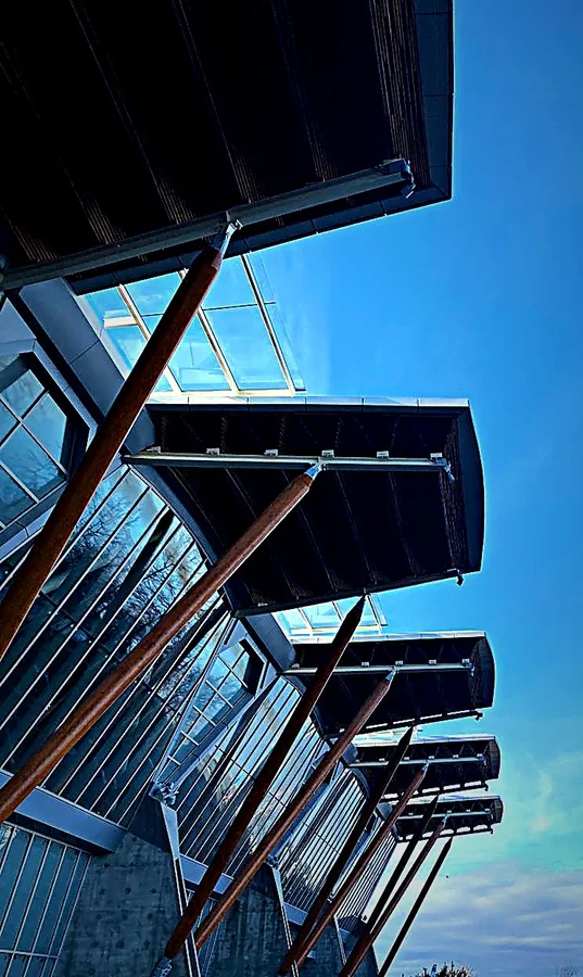 Modern timber and glass facade with diagonal wooden struts against blue sky