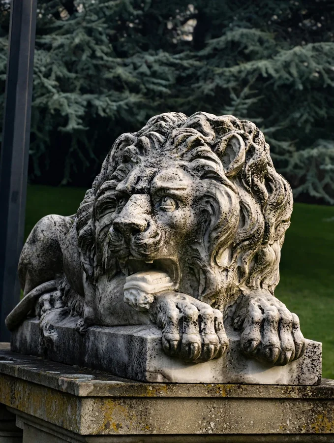 Weathered stone lion statue against dark evergreen trees