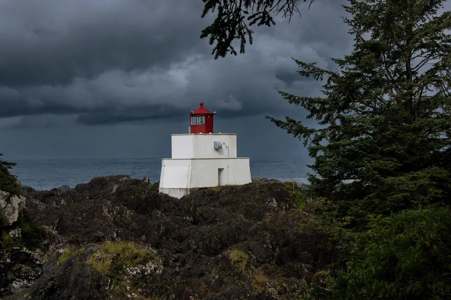 White lighthouse with a red lantern framed by evergreens beneath storm clouds