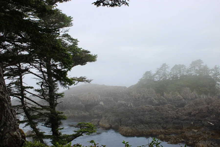 Fog settling over a rocky evergreen island coast