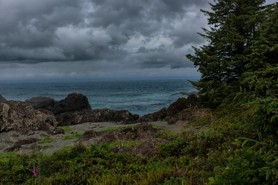Rocky evergreen coastline beneath dark rolling storm clouds